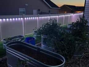 Raised metal garden beds with plants and soil sit on gravel beside a white fence decorated with string lights at dusk. Houses and a sunset are visible in the background.
